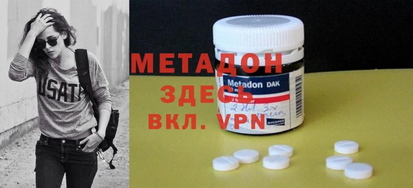 прущие грибы Верея