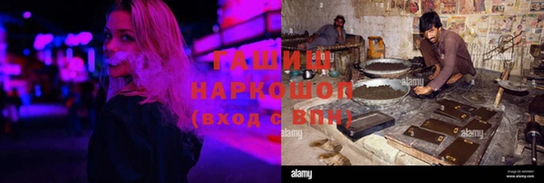 прущие грибы Верея
