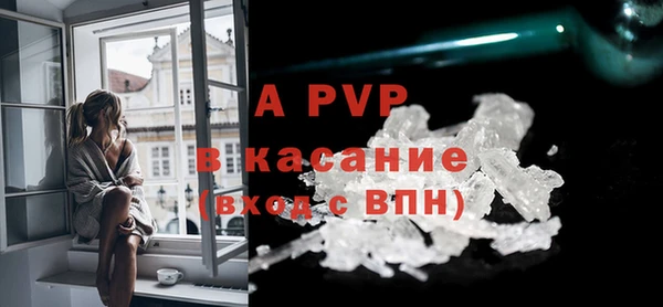 стаф Верхний Тагил