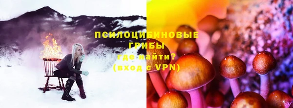 ГАЛЛЮЦИНОГЕННЫЕ ГРИБЫ Ельня