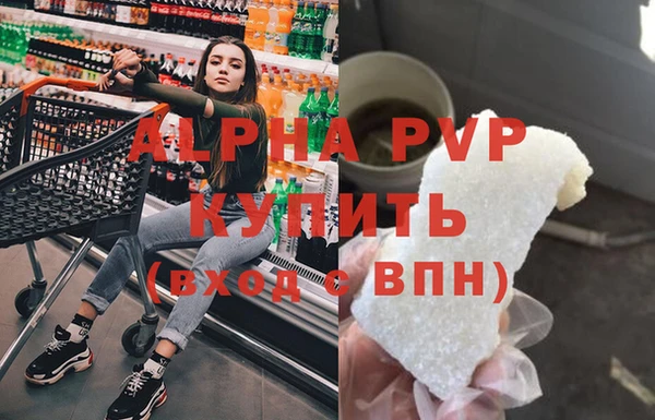 прущие грибы Верея