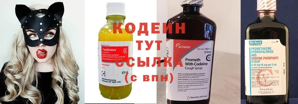 прущие грибы Верея
