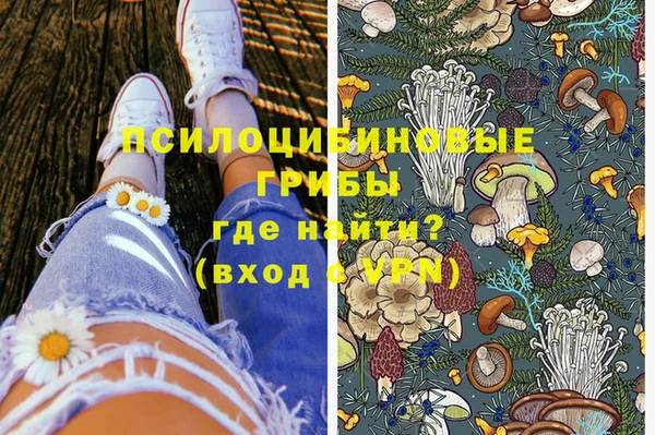 стаф Верхний Тагил