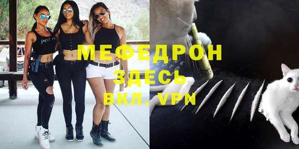 прущие грибы Верея