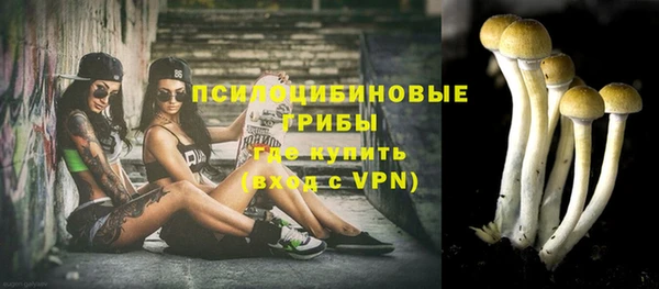 прущие грибы Верея